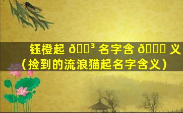 钰橙起 🌳 名字含 🐒 义（捡到的流浪猫起名字含义）